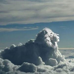 Meet your Posher, Saad saadoun